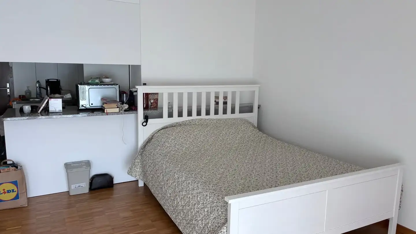 Appartamento in affitto - Via Vincenzo D'alberti, 6600 Muralto - Foto 4