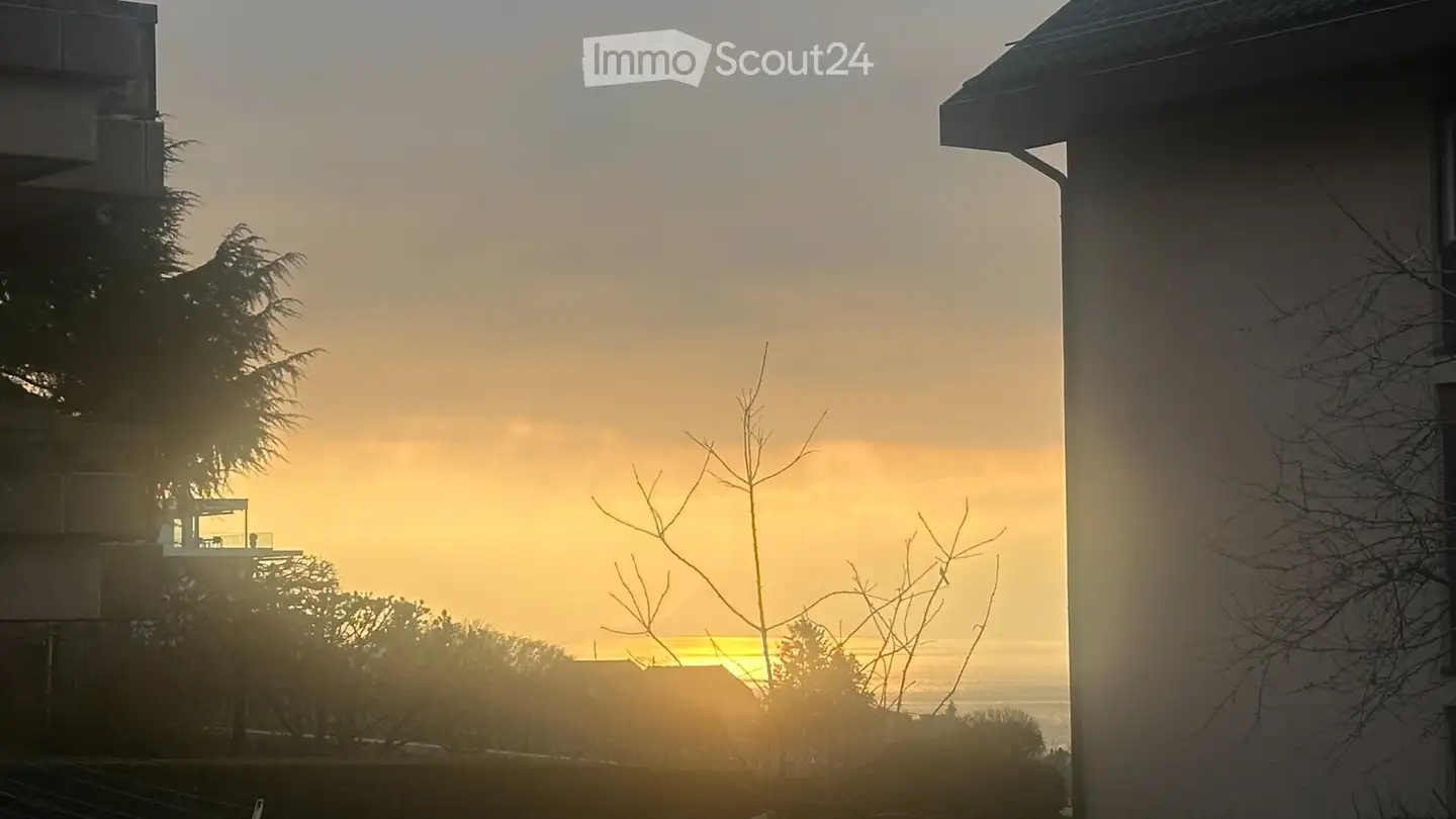 Appartement à louer - Chemin Du Caudoz 39, 1009 Pully