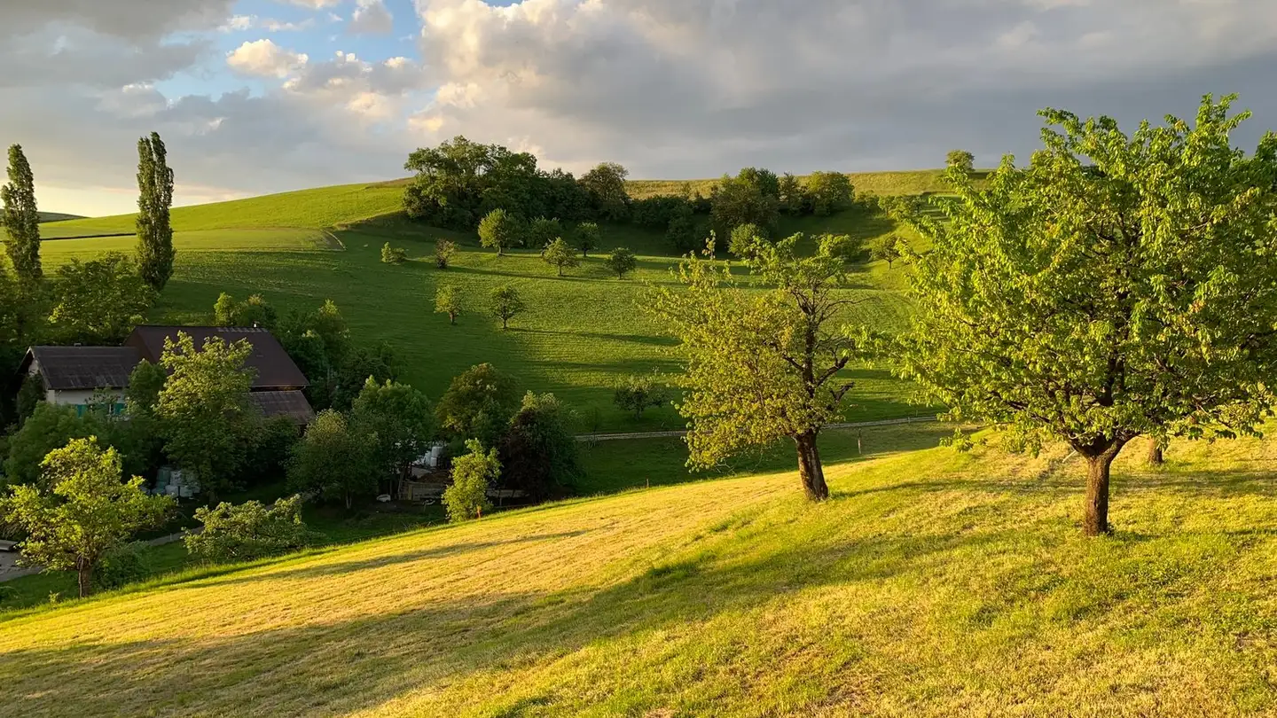 Chambre à louer - Weidweg, 4445 Häfelfingen - Photo 4