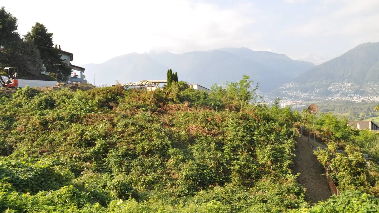 Terreno edificabile in vendita - 6573 Magadino - Photo 3