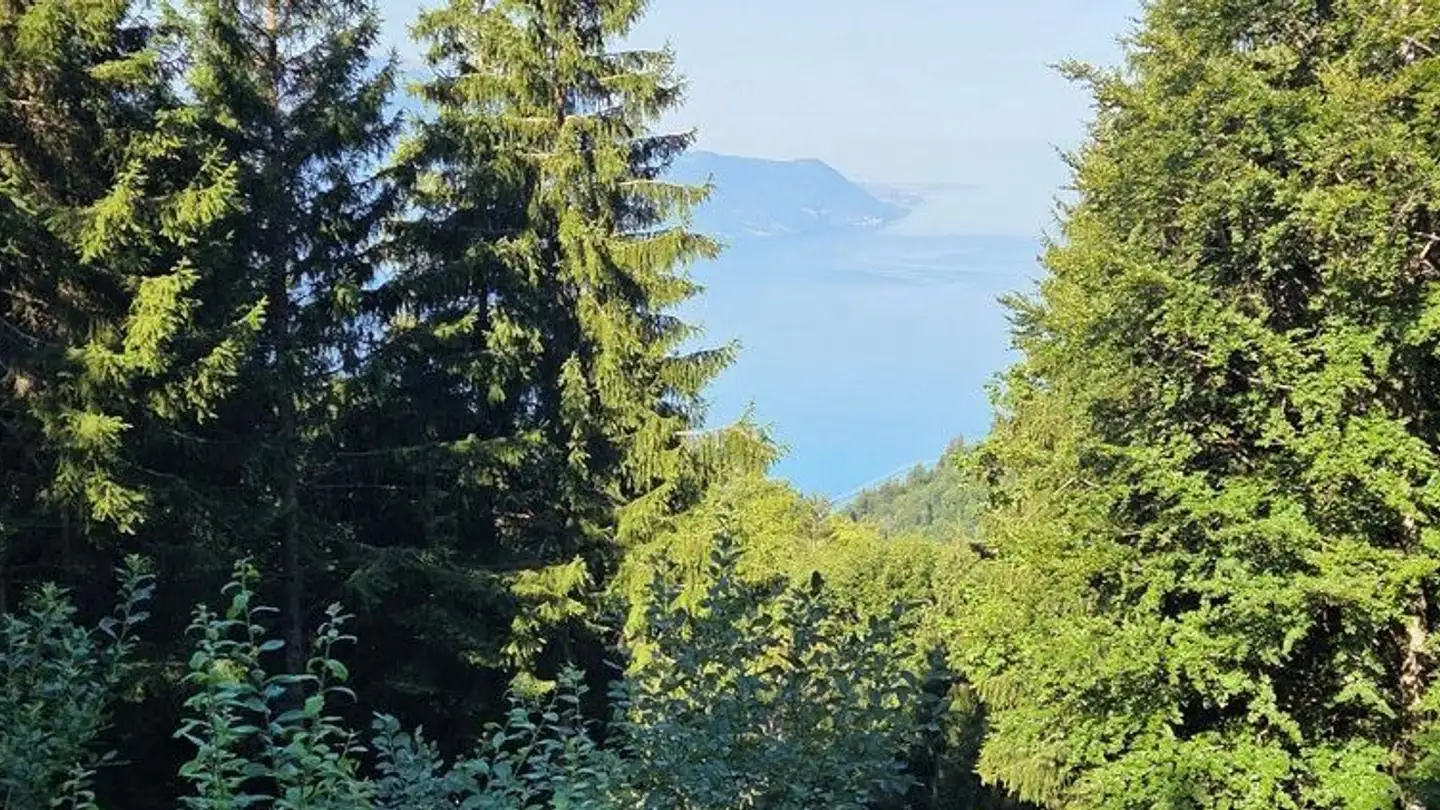 Chalet à vendre - En Liboson, 1820 Veytaux - Photo 3