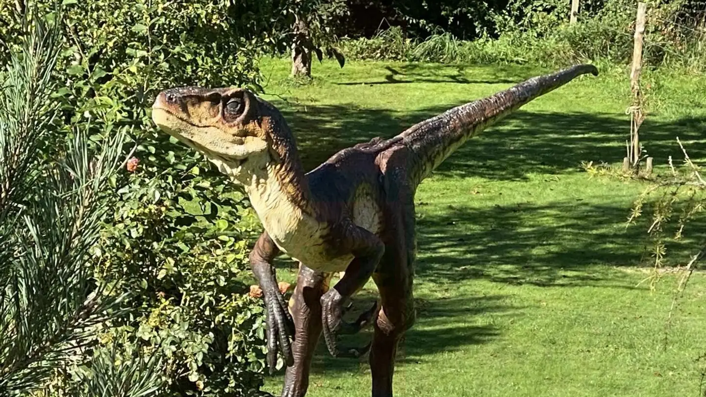 Casa singola in vendita - 2933 Damphreux - Photo 2