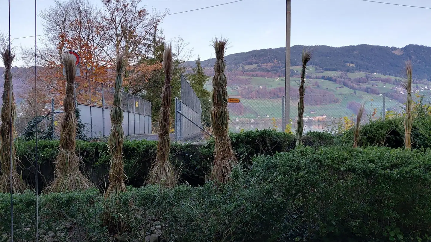 Appartamento in affitto - Seehof 4a, 6072 Sachseln - Foto 3