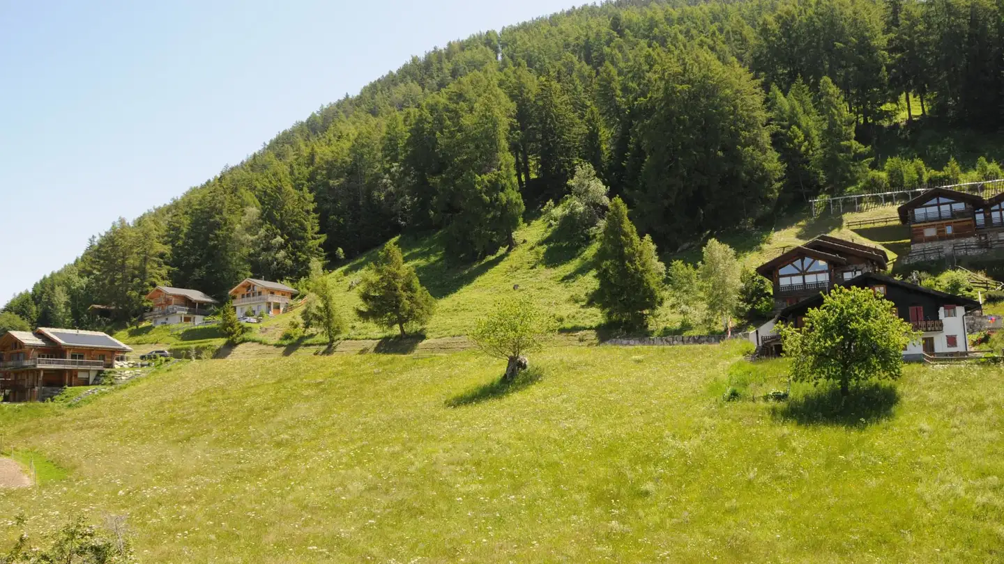 Terrain constructible à vendre - 1914 Isérables - Photo 2