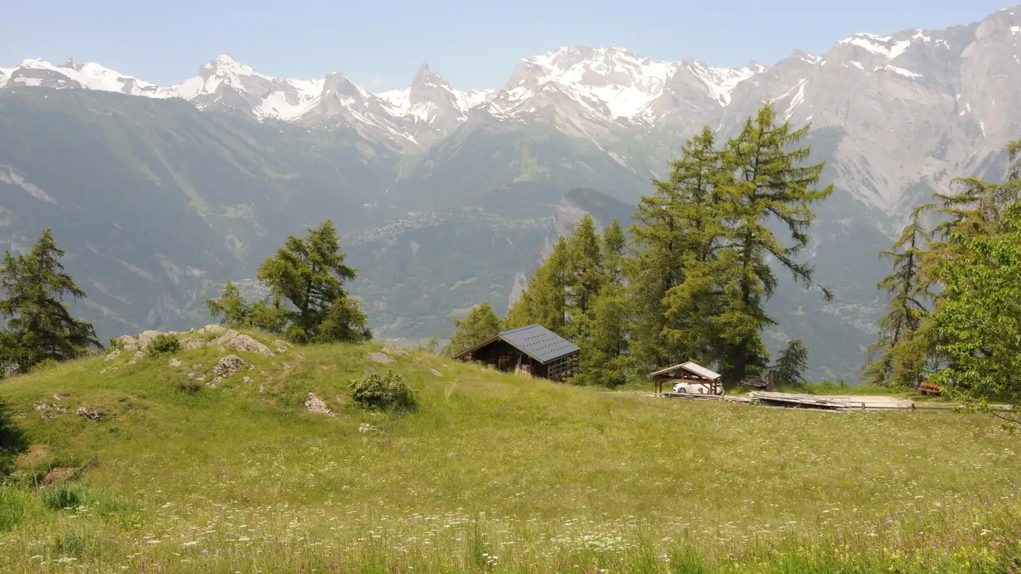 Terrain constructible à vendre - 1914 Isérables - Photo 3