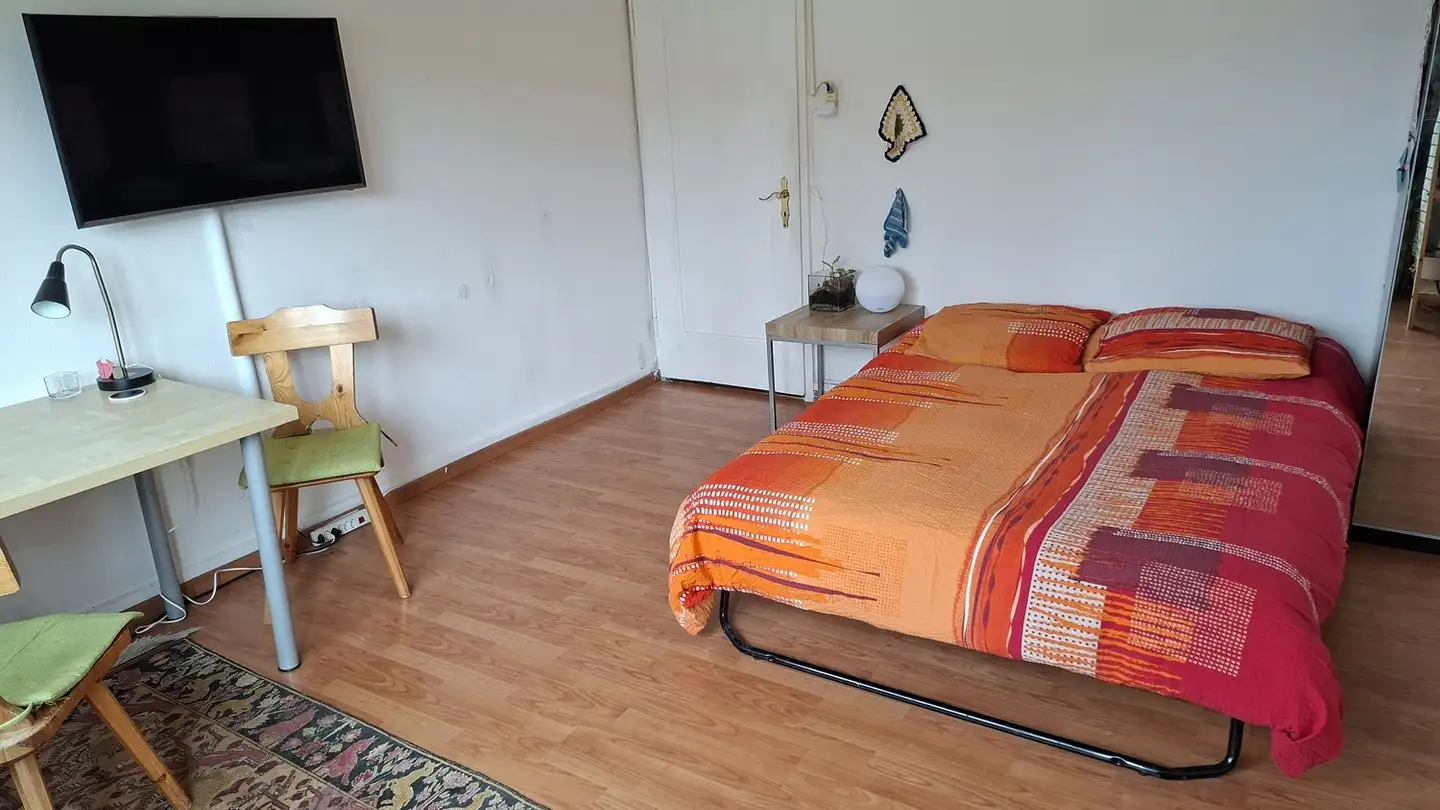 Single room for rent - 8050 Zürich - Photo 3