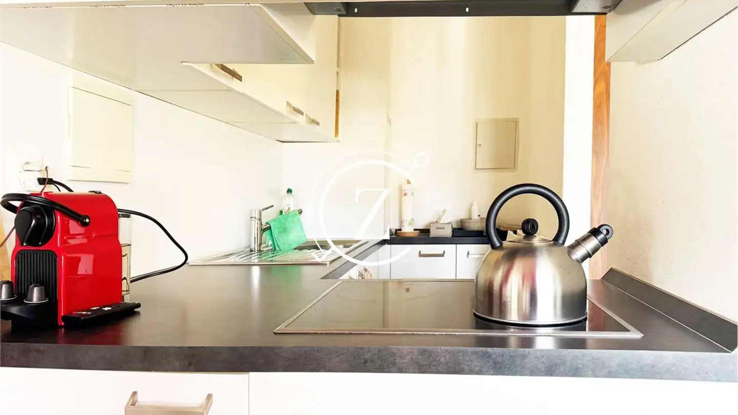 Appartamento ammobiliato in affitto - Via Marietta Crivelli-Torricelli, 6900 Lugano