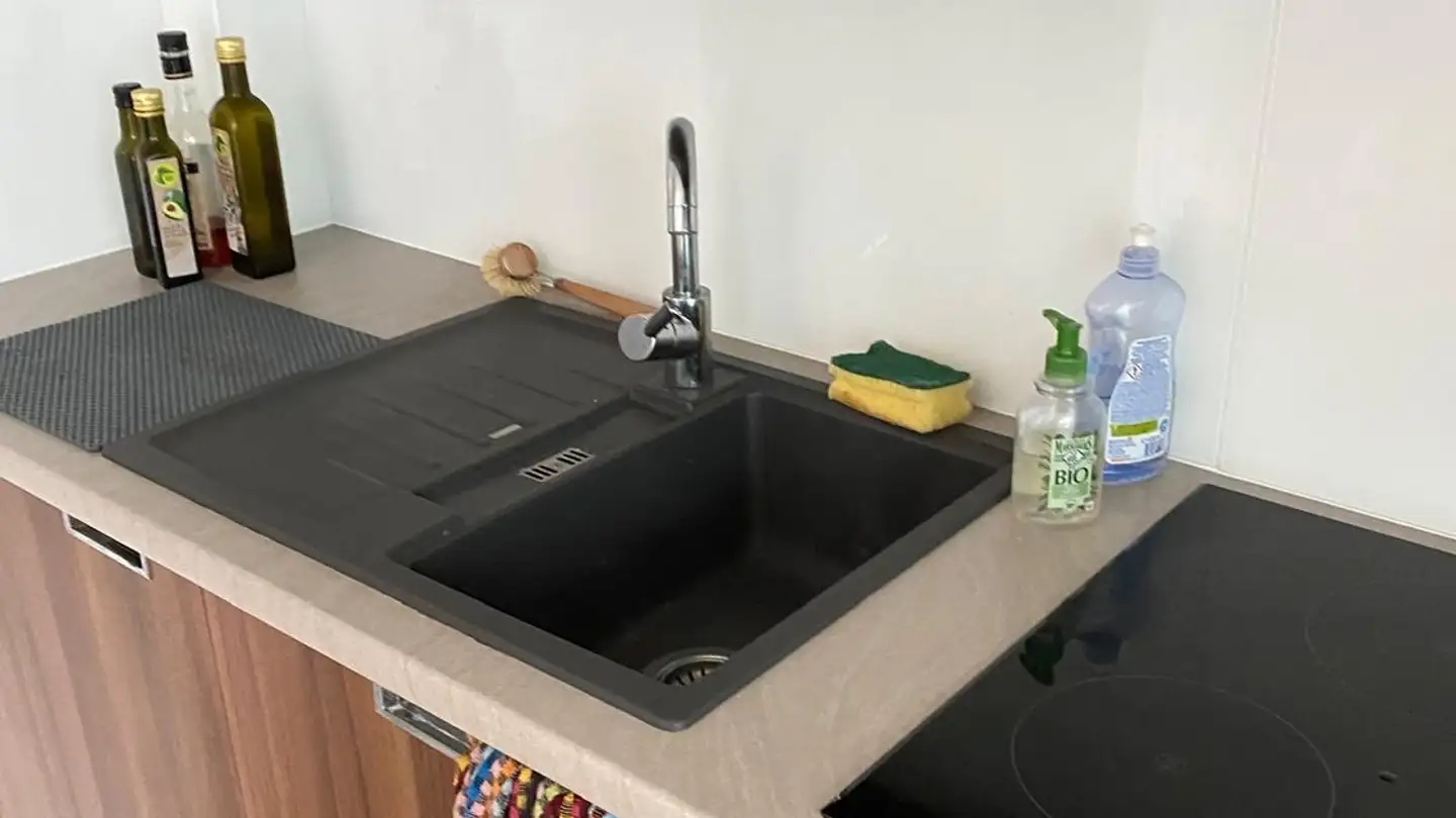 Studio mieten - Chemin Des Mémises, 1025 St-Sulpice VD - Foto 4