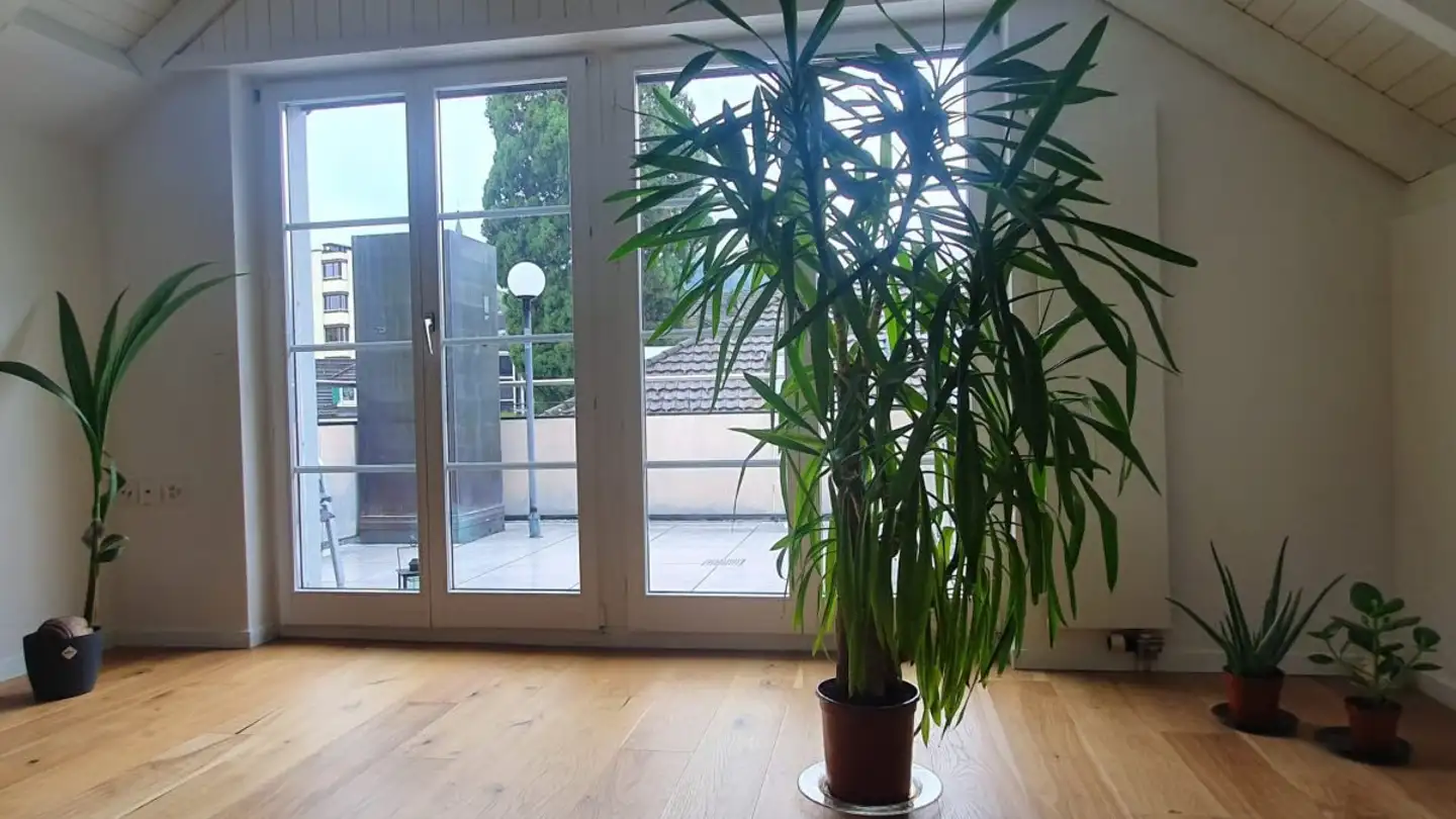 Attic flat for rent - Seestrasse 91, 8820 Wädenswil - Photo 2