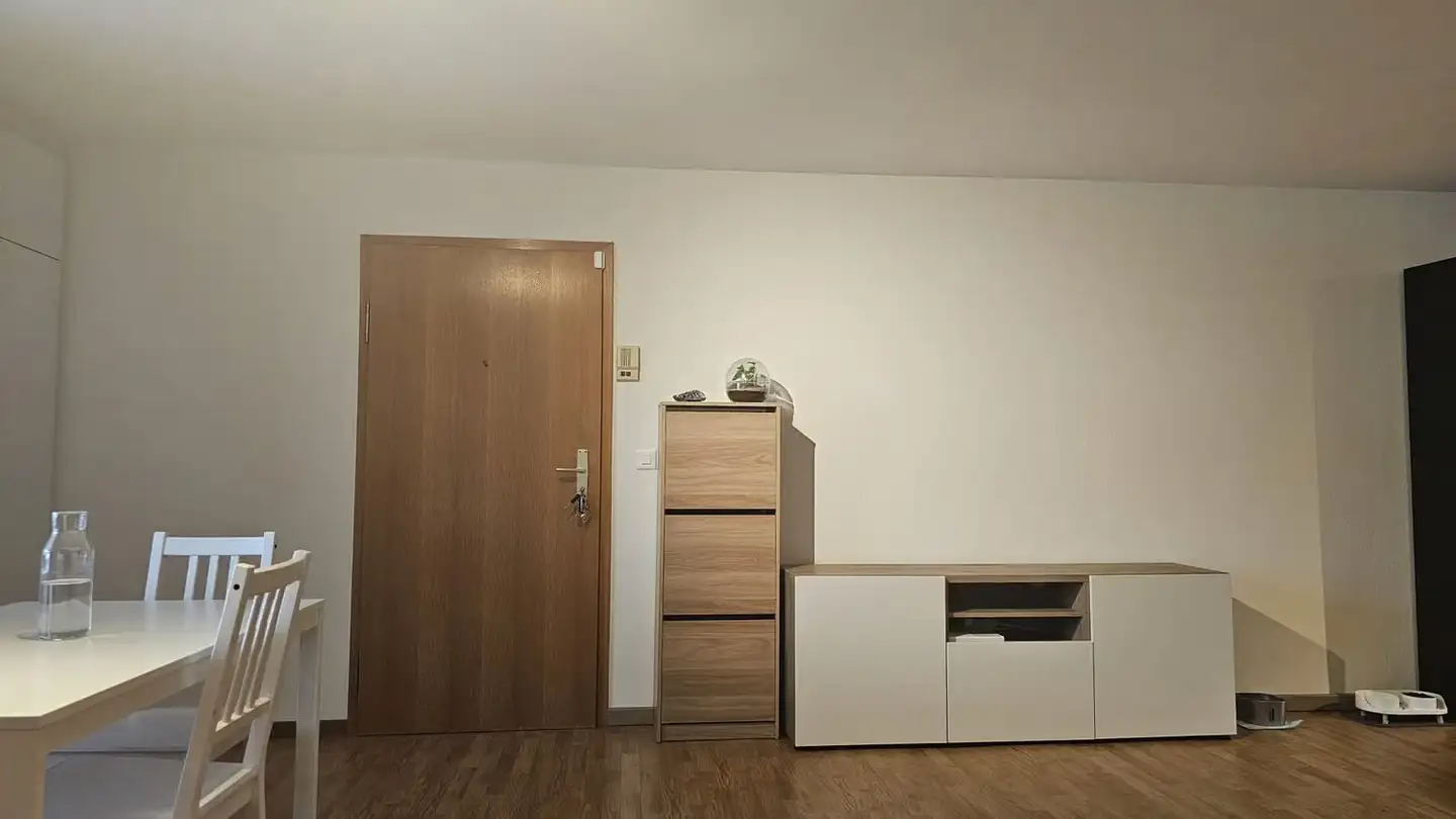 Appartement à louer - Route De Suisse 135a, 1290 Versoix - Photo 3