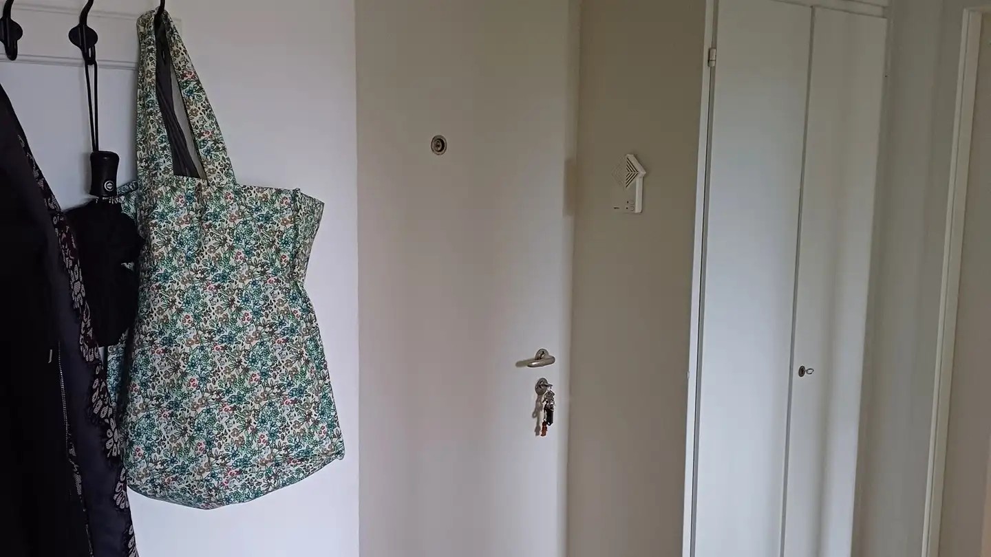 Appartamento in affitto - Altwiesenstrasse 195, 8051 Zürich - Photo 4