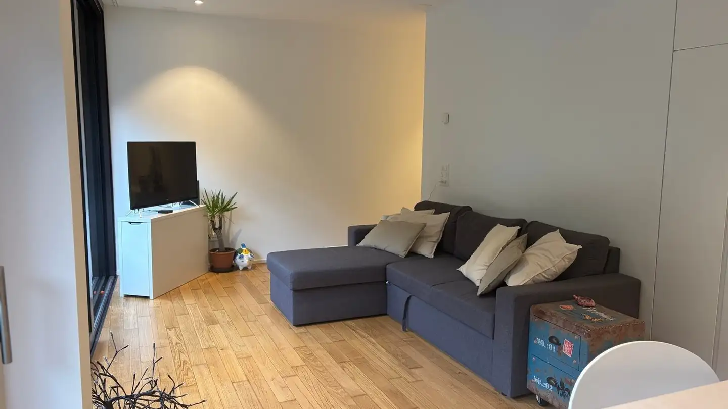 Apartment for rent - Via Solaria 11, 6648 Minusio - Photo 3