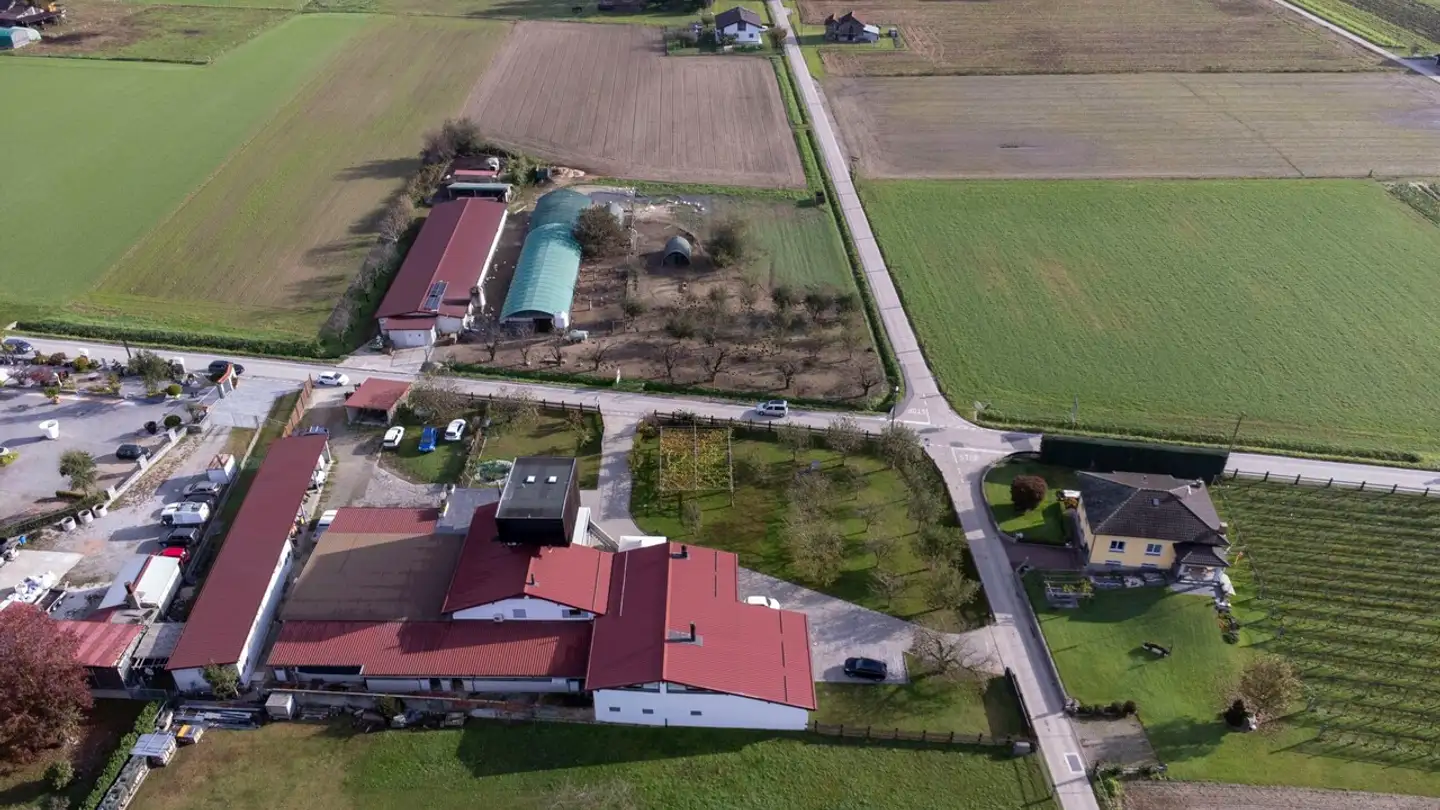 Bauernhof kaufen - Ala Campagna 37, 6593 Cadenazzo - Foto 4