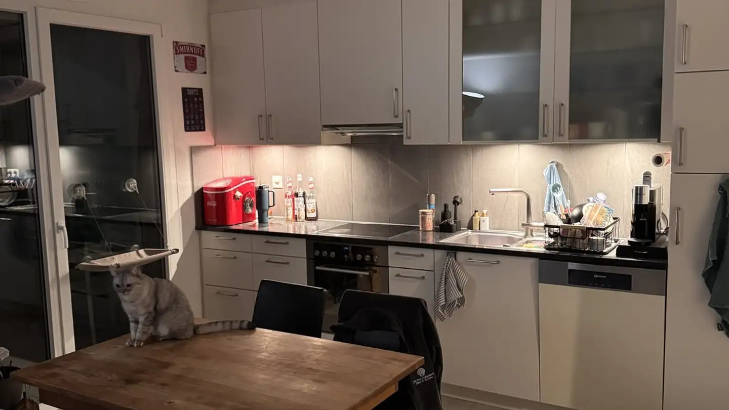 Stanza singola in affitto - 5507 Mellingen - Photo 4