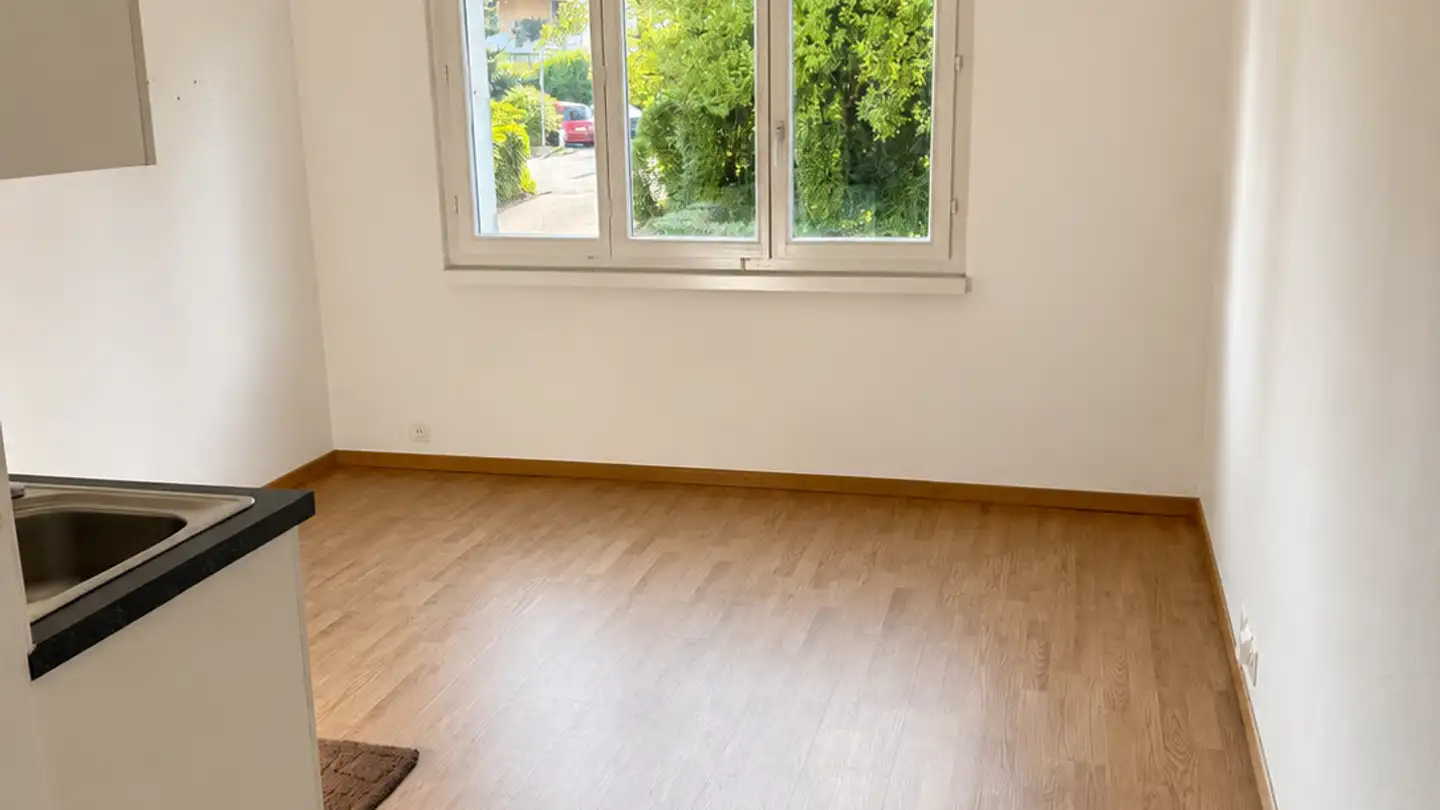 Studio à louer - Engstringerstrasse 48, 8952 Schlieren