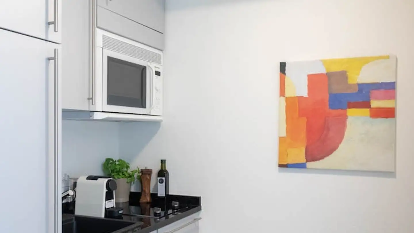 Möblierte Wohnung mieten - Rotachstrasse 20, 8003 Zürich - Foto 2