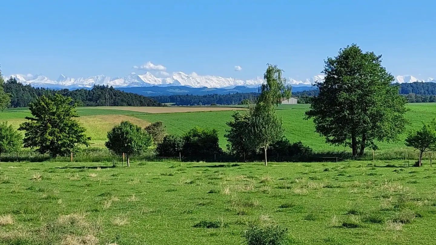 Appartement à louer - Lehmgrubenweg, 4538 Oberbipp