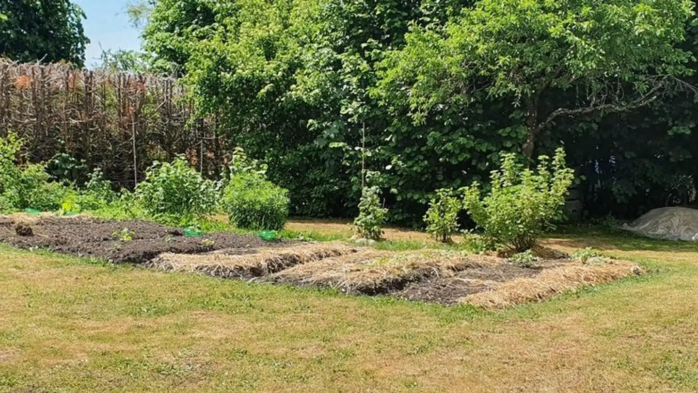 Casa singola in affitto - Les Brues 2, 2516 Lamboing - Foto 3