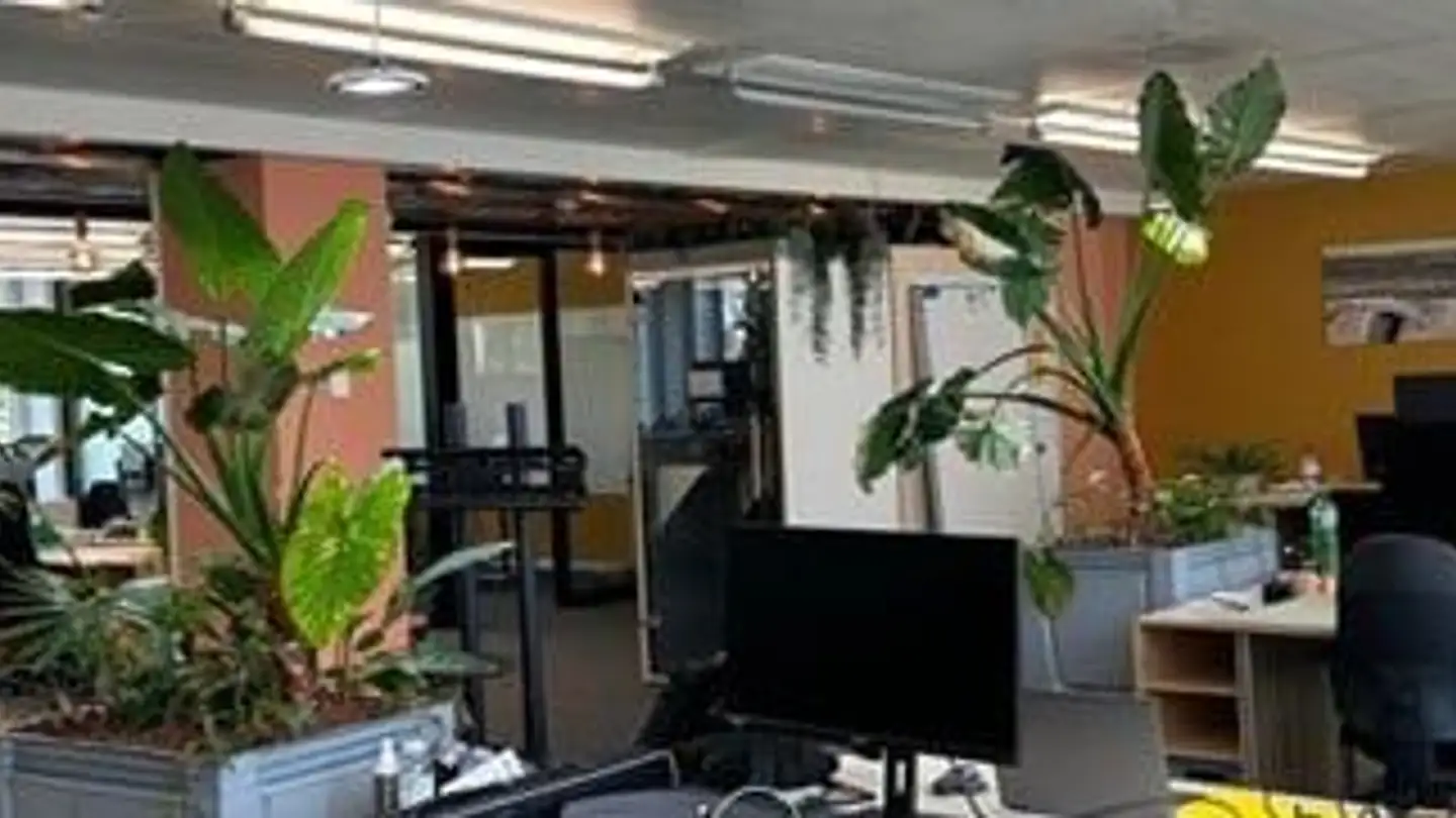 Bureau à louer - Bubenbergstrasse 2, 8045 Zürich