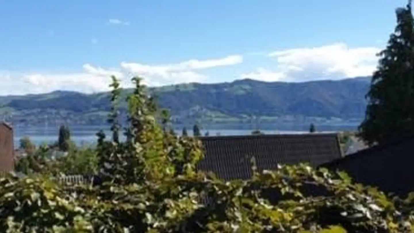 Stanza singola in affitto - 6333 Hünenberg See