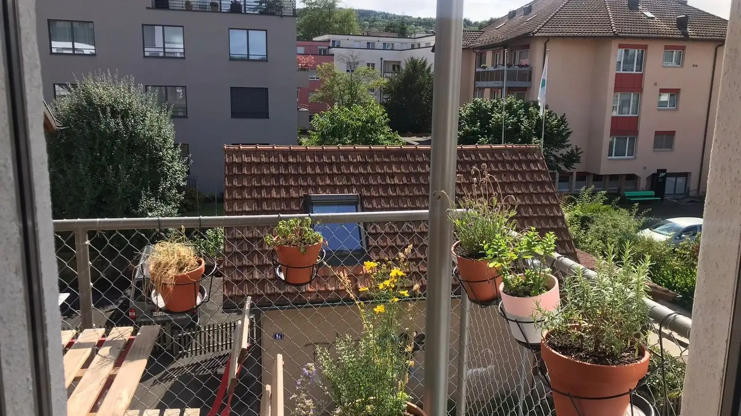 Studio à louer - Girhaldenstrasse 20, 8048 Zürich