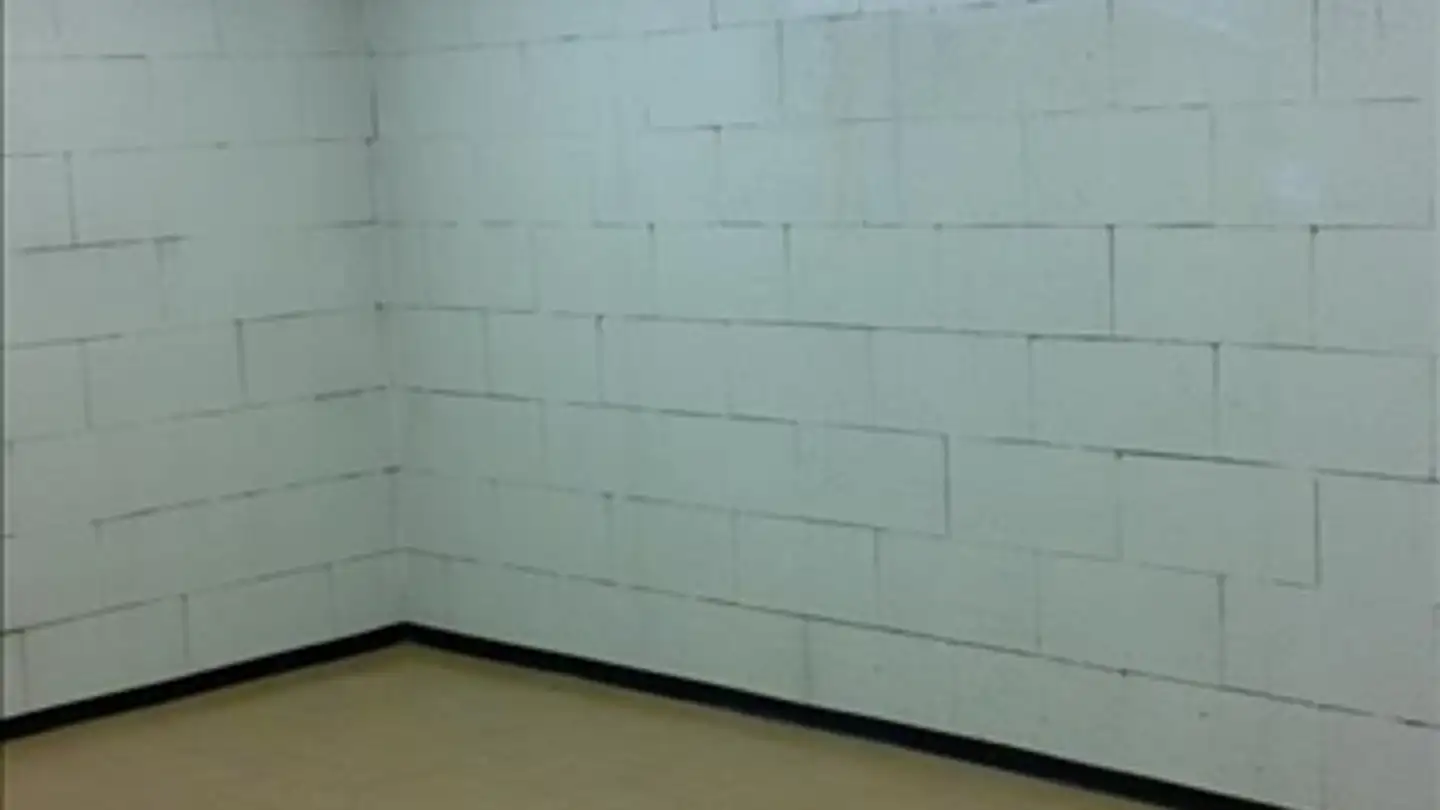 Storage space for rent - Chemin Jacques- Attenville 9, 1218 Le Grand-Saconnex