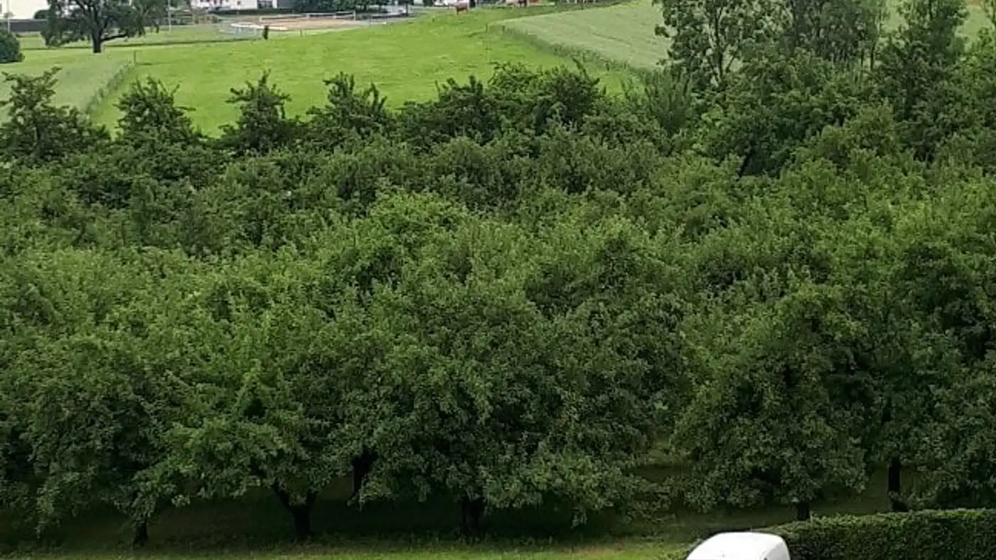 Stanza singola in affitto - 9312 Häggenschwil - Foto 3