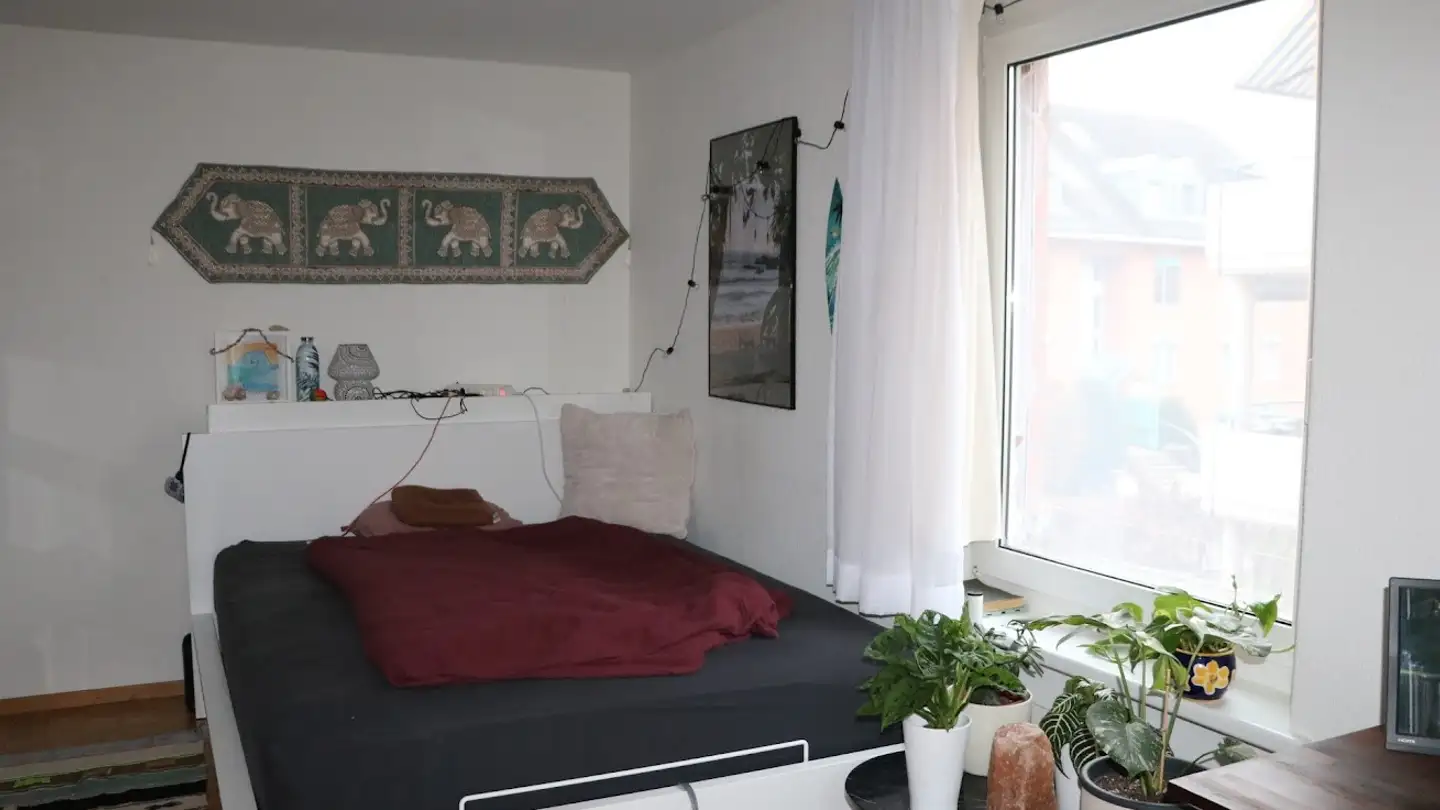 Chambre à louer - 8302 Kloten - Photo 2