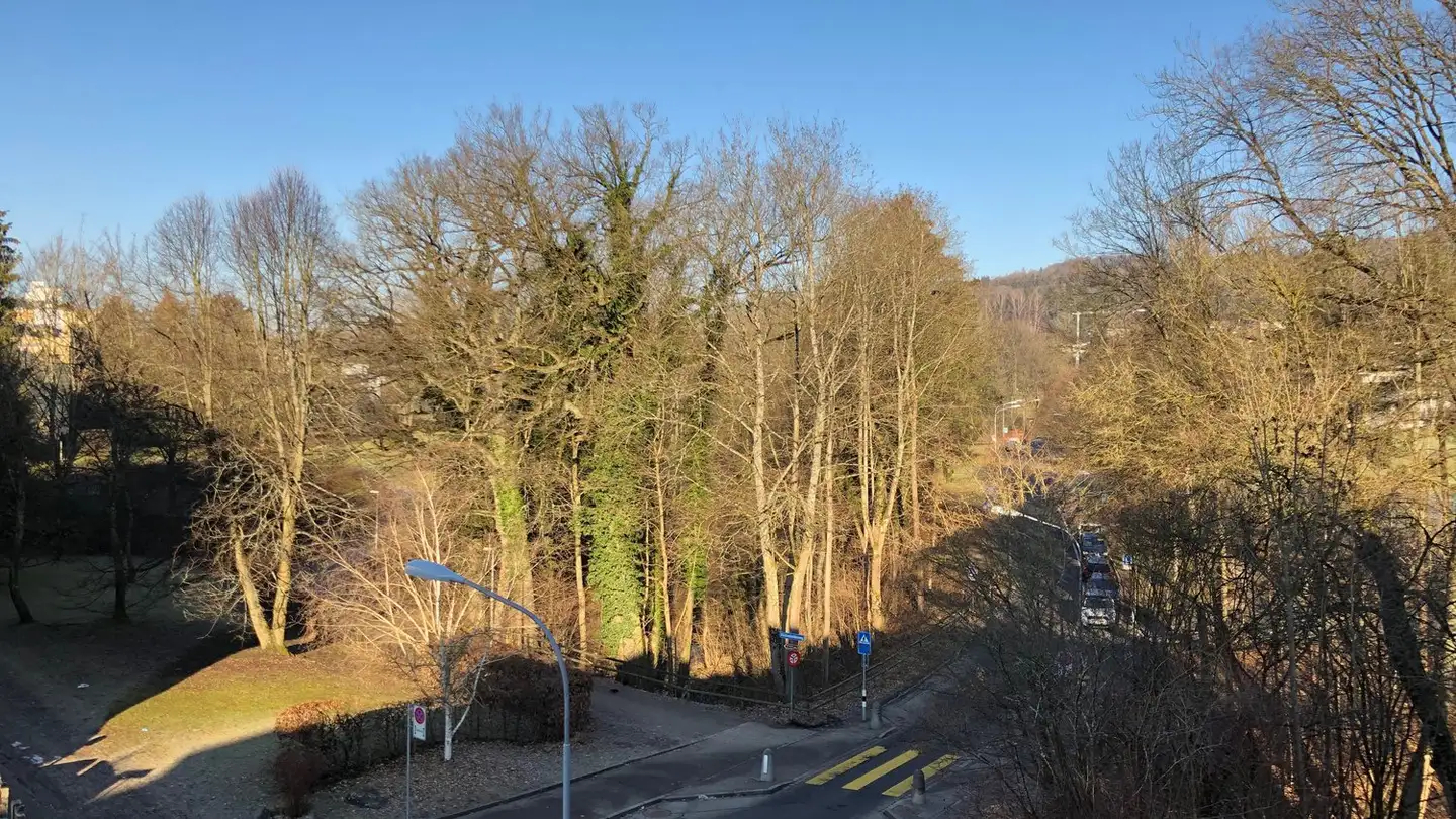 Appartement à louer - Witikonerstrasse 413, 8053 Zürich - Photo 2