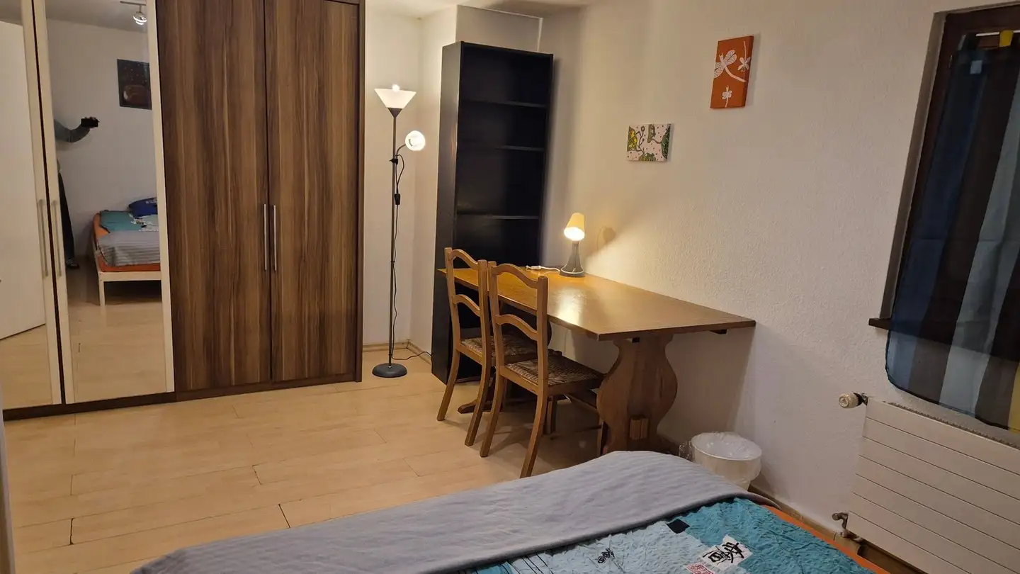 Single room for rent - Route Du Grand-Lancy, 1212 Grand-Lancy