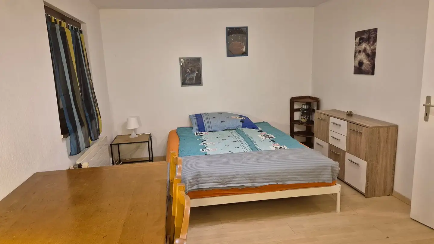 Single room for rent - Route Du Grand-Lancy, 1212 Grand-Lancy - Photo 2