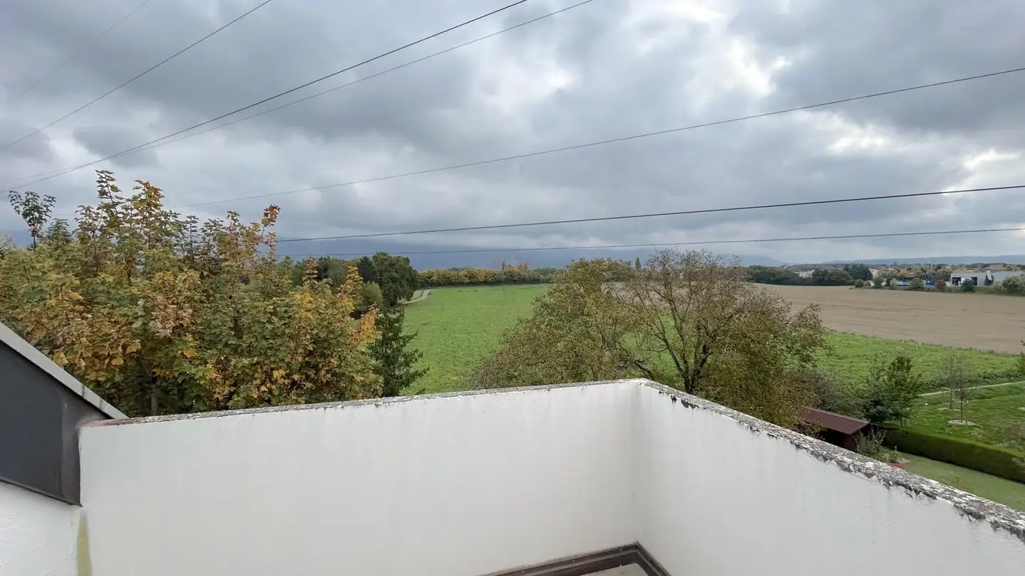 Attique à vendre - 1258 Perly - Photo 4