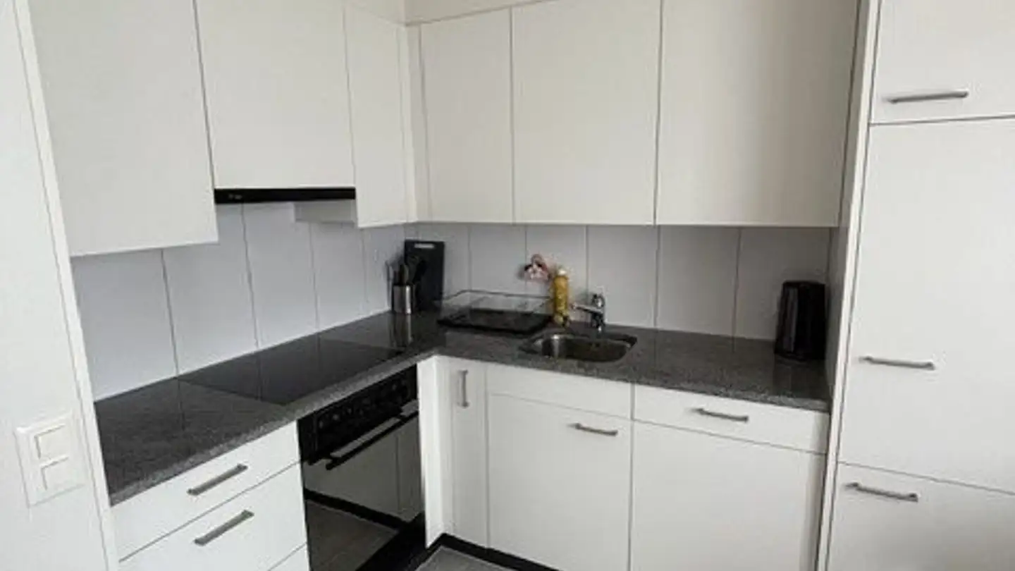 Appartement à louer - Kanalweg 2, 8134 Adliswil