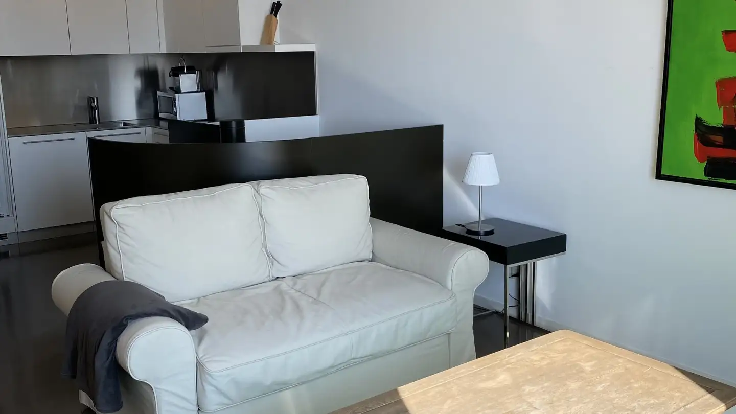 Furnished apartment for rent - Rue Beau-Séjour 8b, 1003 Lausanne - Photo 3