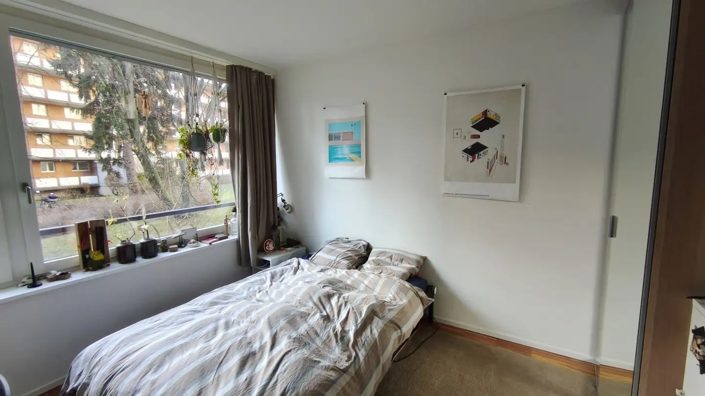 Chambre à louer - Gutstrasse 159, 8047 Zürich