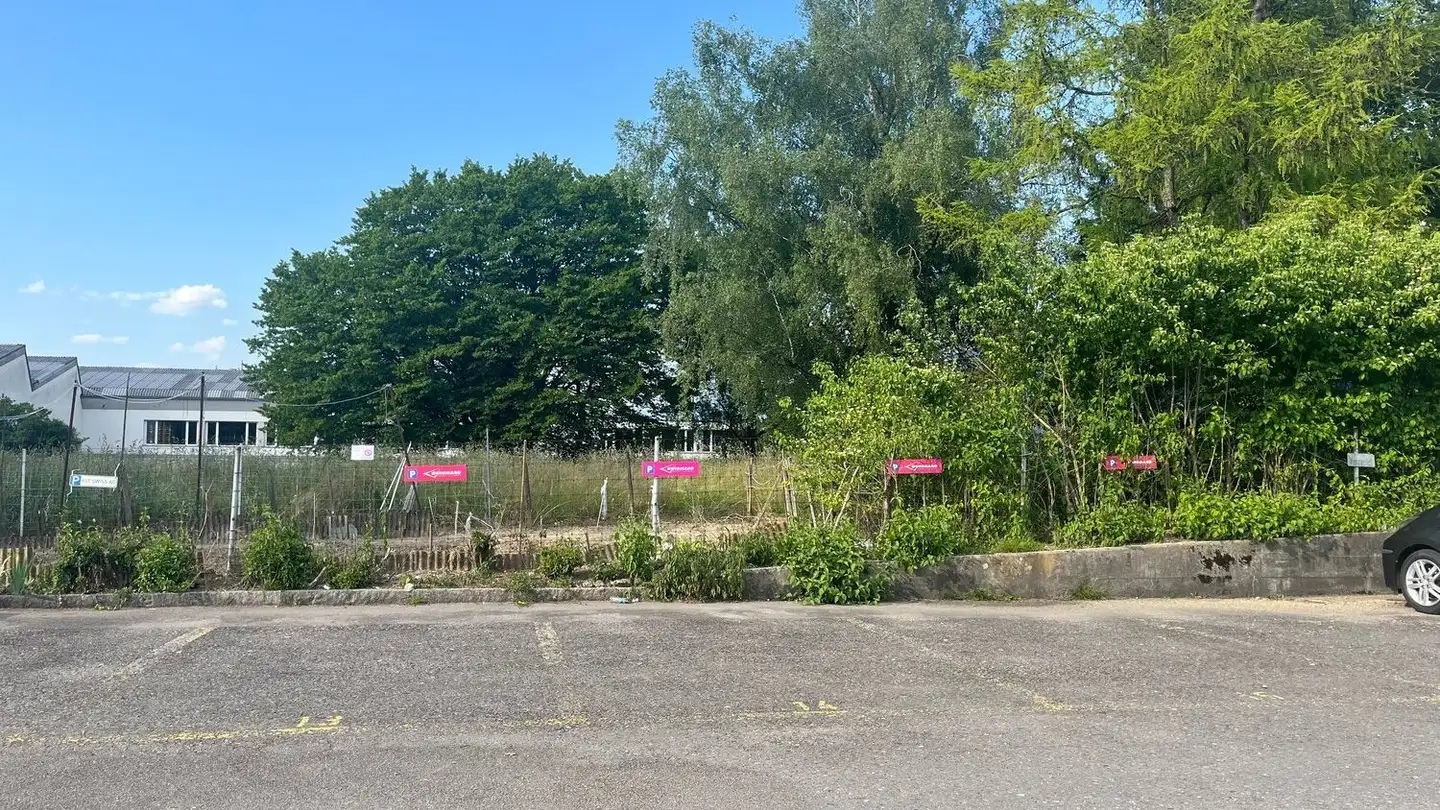 Place de parking extérieure à louer - Alpenblickstrasse 9, 8853 Lachen SZ