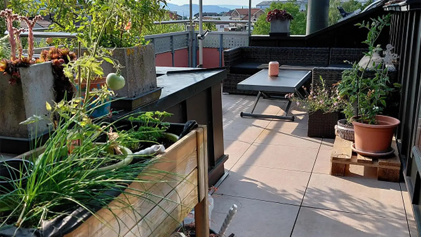 Wohnung mieten - Sportplatzweg 3, 6410 Goldau