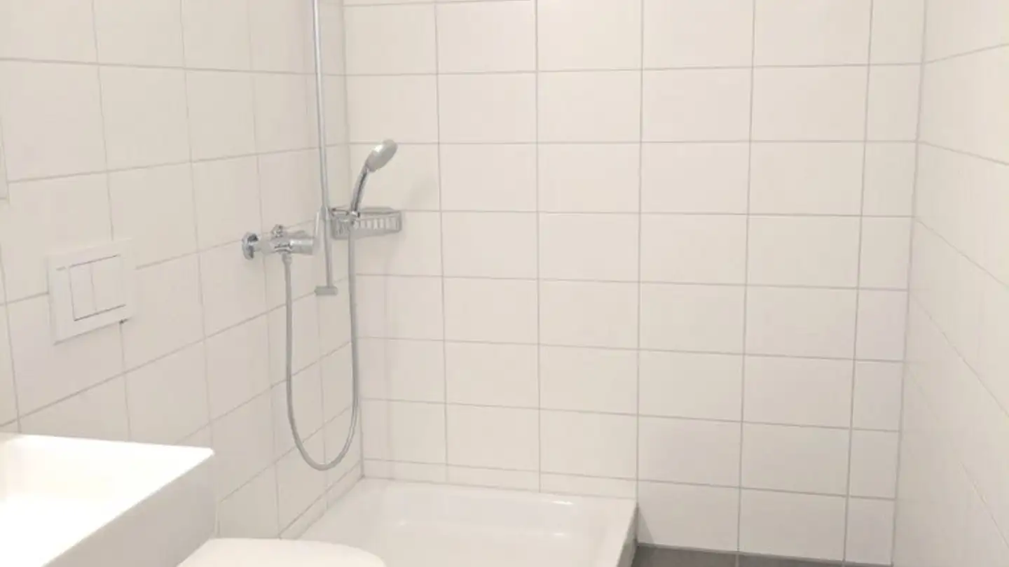 Appartamento in affitto - Else-Züblin-Strasse 97, 8404 Winterthur - Foto 3