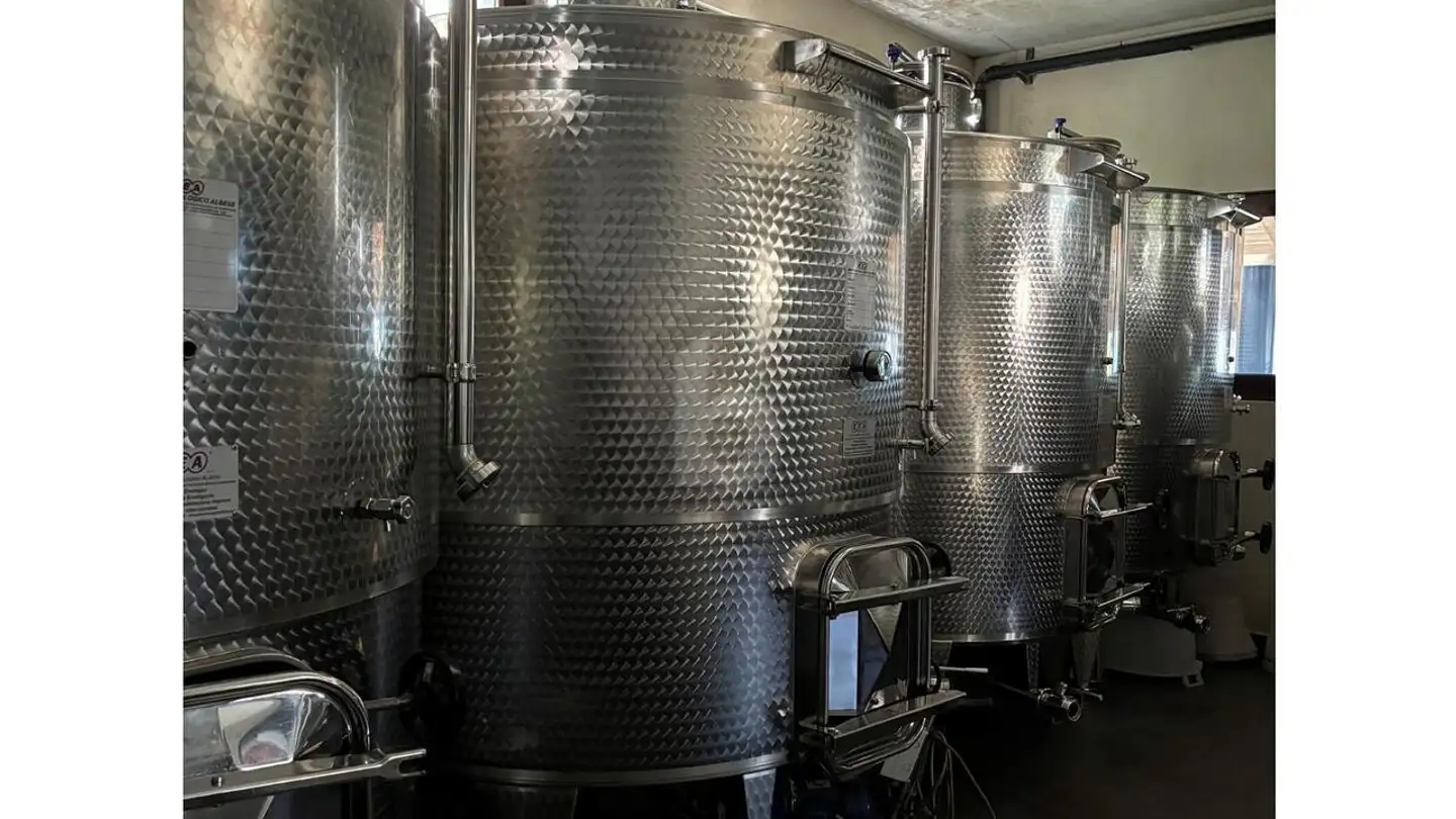 Fabbrica in affitto - 6514 Sementina - Foto 4