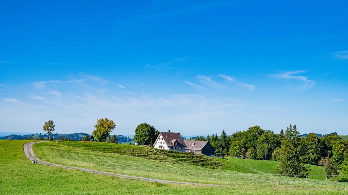 Azienda agricola in vendita - 9633 Hemberg - Photo 3