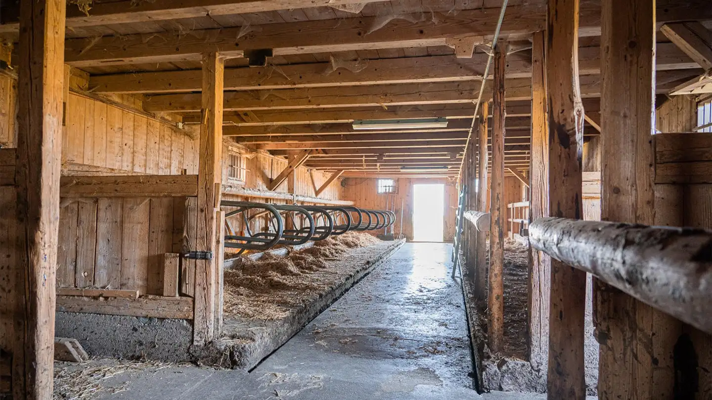 Azienda agricola in vendita - 9633 Hemberg - Photo 4