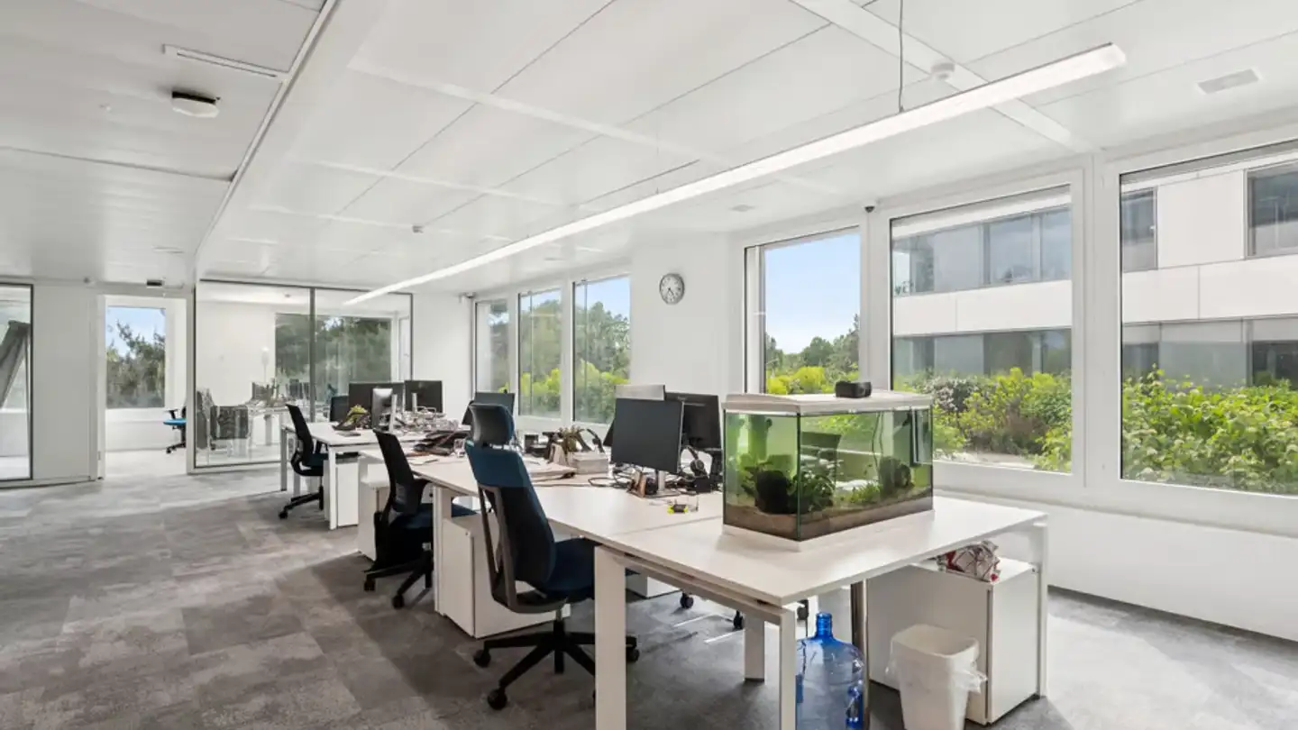 Gewerbe mieten - Avenue de Rhodanie 40, 1007 Lausanne - Foto 2