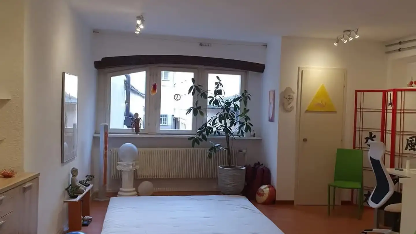 Industrial property for rent - Vordergasse 56, 8200 Schaffhausen