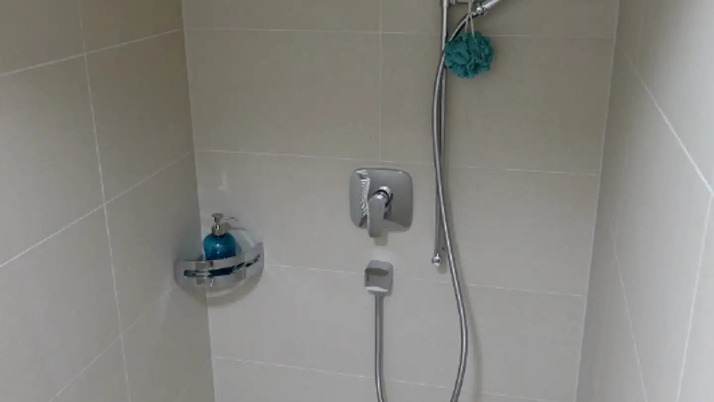 Appartamento in affitto - Wesemlinrain 14, 6006 Luzern - Photo 4