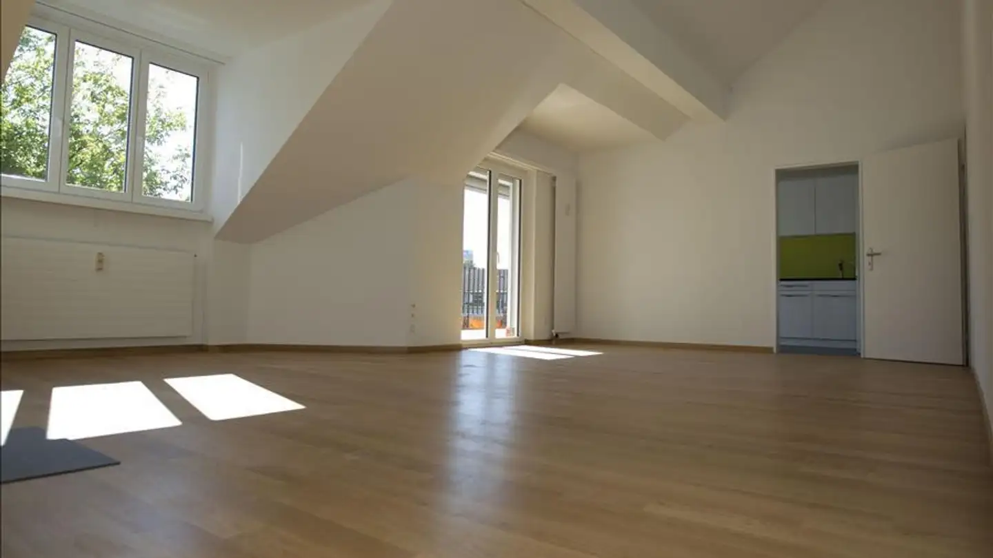 Duplex for rent - Missionsstrasse 3, 4055 Basel - Photo 4