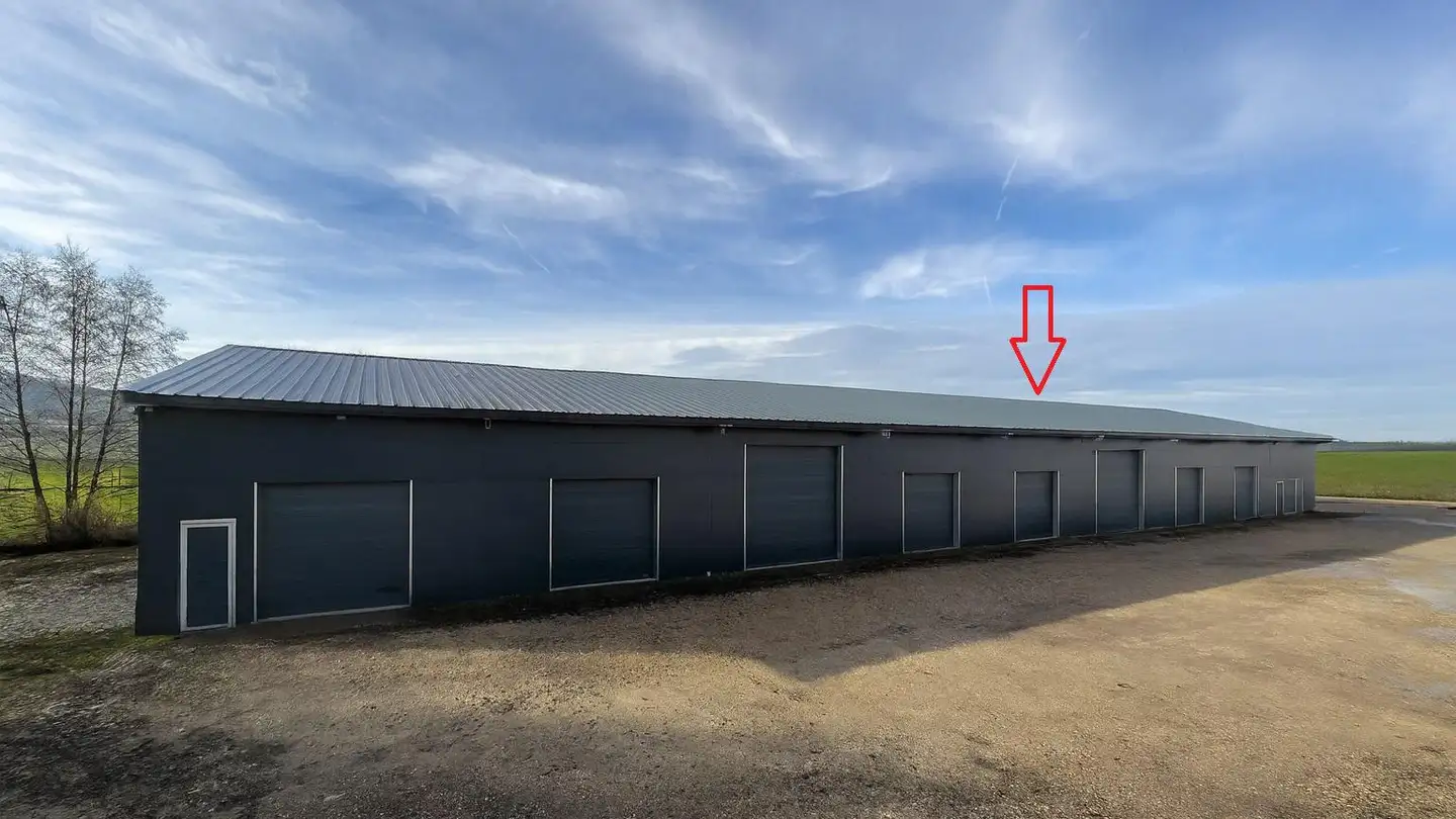 Commercial for rent - 2942 Alle - Photo 4