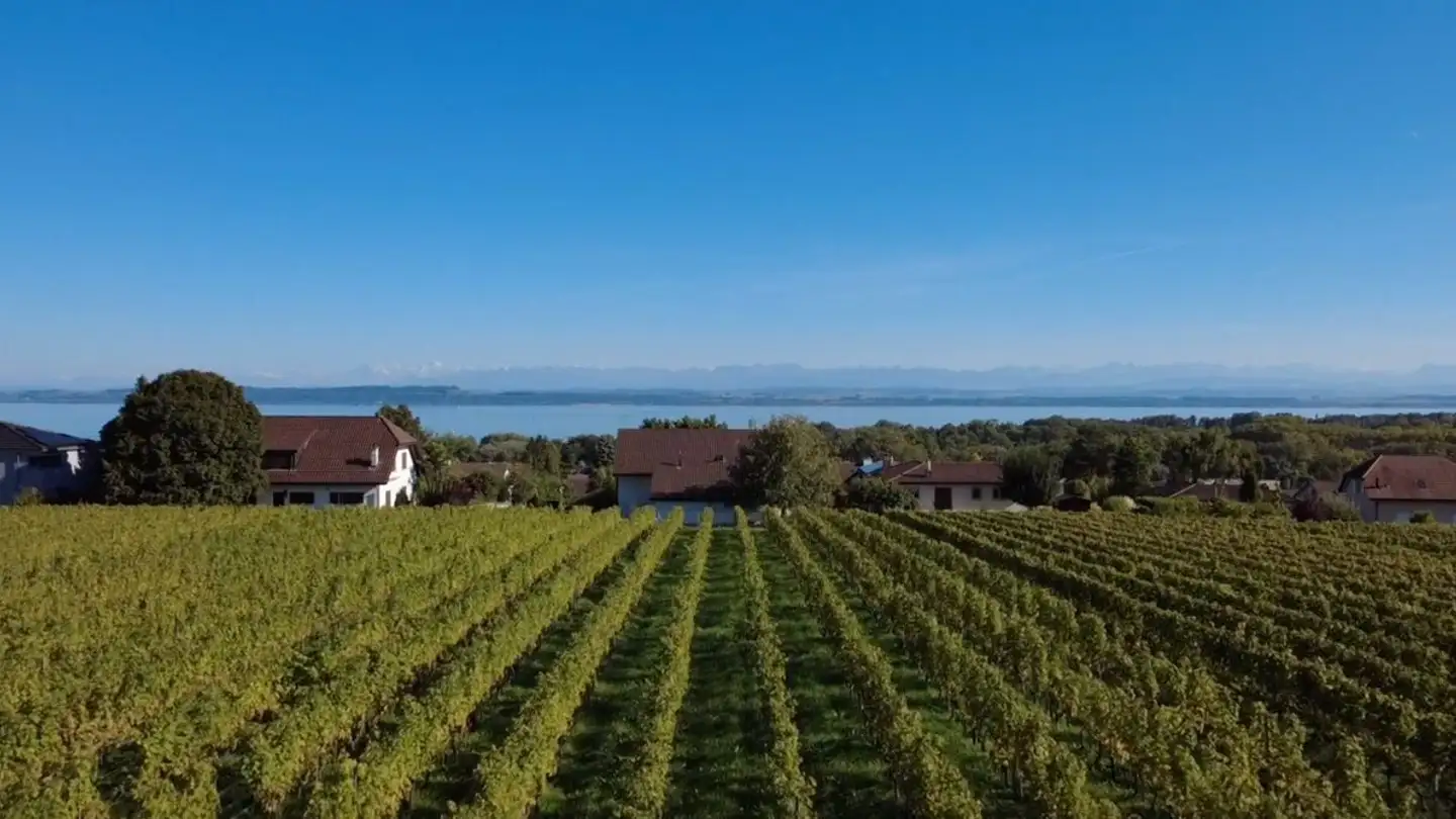 Einfamilienhaus kaufen - 2013 Colombier NE - Foto 2