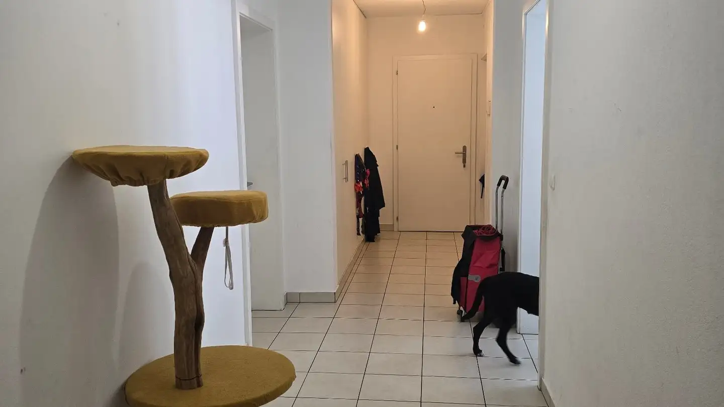 Wohnung mieten - Bodio, 6743 Bodio TI - Foto 3