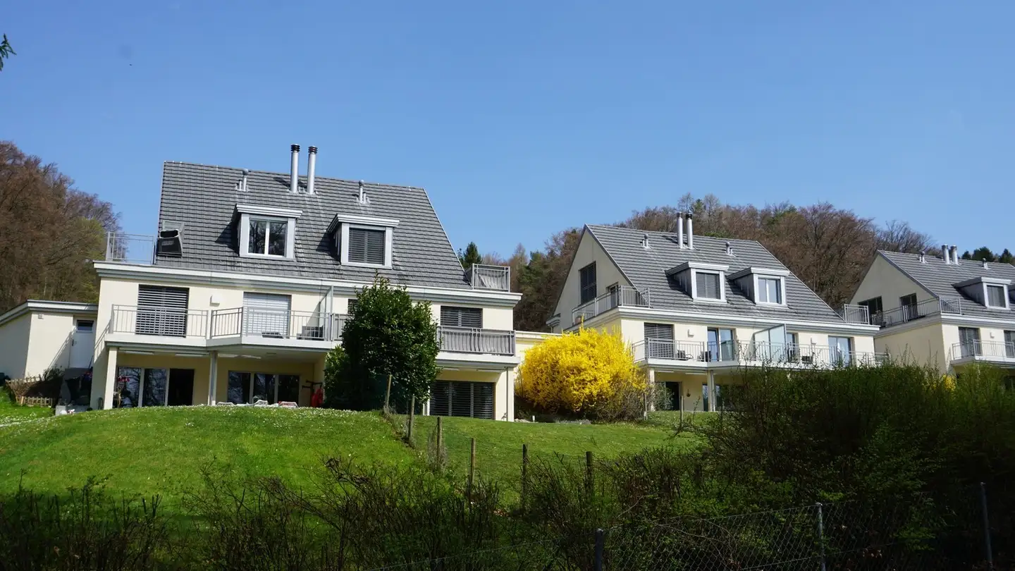 Duplex in affitto - Erlenstrasse 11a, 8955 Oetwil an der Limmat