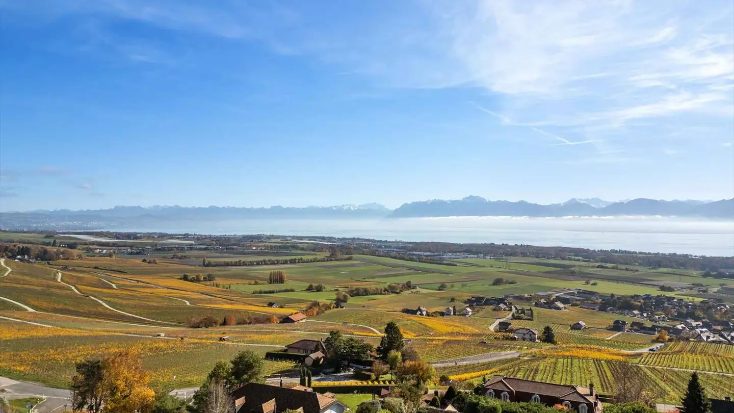 Villa à vendre - 1173 Féchy - Photo 2